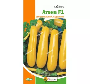 Кабачок Атена F1 (5 шт.), насіння Яскрава