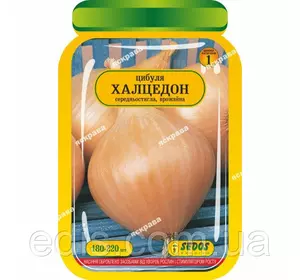 Цибуля Халцедон 180-220 шт. інкрустоване насіння Яскрава (блістер "Банку")