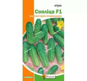 Огірок Сопліца F1 0,5 г, насіння Яскрава