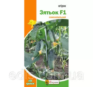 Огірок Зятьок F1 (букетний, самозапильний, корнішон) F1 0,3 г, насіння Яскрава