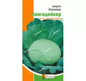 Капуста білоголова Лангедейкер 0,5 г, насіння Яскрава Капуста білоголова Лангедейкер 0,5 г, насіння Яскрава