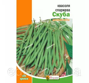 Квасоля Скуба спаржева зелена кущова, 10 г, насіння Яскрава Квасоля Скуба спаржева зелена кущова, 10 г, насіння Яскрава