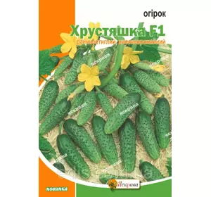 Огірок Хрустяшка F1 5 г, насіння Яскрава Огірок Хрустяшка F1 5 г, насіння Яскрава