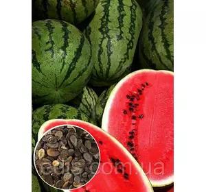Кавун Кримсон Світ 100 г, вагове насіння Яскрава Кавун Кримсон Світ 100 г, вагове насіння Яскрава