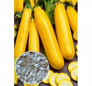 Кабачок Золотинка 100 г, вагове насіння Яскрава Кабачок Золотинка 100 г, вагове насіння Яскрава