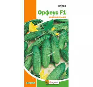 Огірок Орфеус F1 (самозапильний) 12 шт., насіння Яскрава Огірок Орфеус F1 (самозапильний) 12 шт., насіння Яскрава