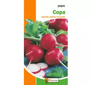 Редис Сора (стійкий до цвітушності) 3 г, насіння Яскрава Редис Сора (стійкий до цвітушності) 3 г, насіння Яскрава