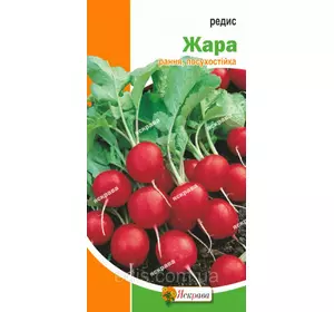 Редис Жара 3 г, насіння Яскрава Редис Жара 3 г, насіння Яскрава