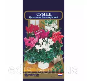 Цикламен багаторічний суміш 5 насінин в оболонці, Яскрава PREMIUM Цикламен багаторічний суміш 5 насінин в оболонці, Яскрава PREMIUM