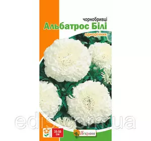 Чорнобривці крупноквіткові Альбатрос 7 насінин, насіння Яскрава Чорнобривці крупноквіткові Альбатрос 7 насінин, насіння Яскрава