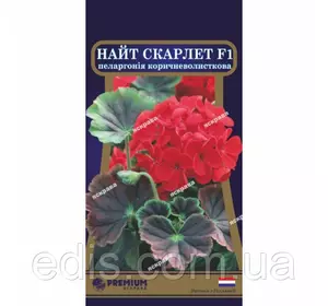Пеларгонія коричневолистная Найт Скарлет F1 5 насінин в оболонці, Яскрава PREMIUM Пеларгонія коричневолистная Найт Скарлет F1 5 насінин в оболонці, Яскрава PREMIUM