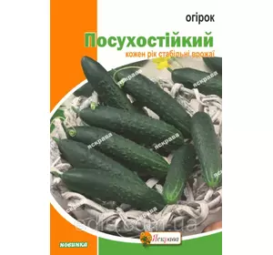 Огірок Посухостійкий 10 г, насіння Яскрава Огірок Посухостійкий 10 г, насіння Яскрава
