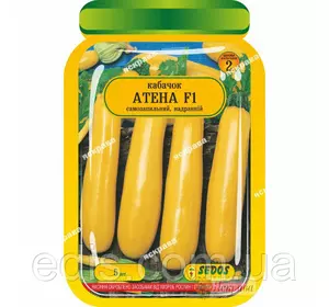 Кабачок Атена F1 (5 шт.) інкрустоване насіння Кабачок Атена F1 (5 шт.) інкрустоване насіння