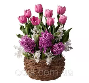 Набір цибулин квітів Рожеве місто 11 цибулин (тюльпани, гіацинти, пушкінія) Набір цибулин квітів Рожеве місто 11 цибулин (тюльпани, гіацинти, пушкінія)