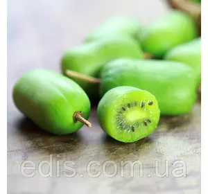 Актинідія Київська крупноплідна (жіноча форма) Актинідія Київська крупноплідна (жіноча форма)