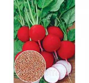 Редис Рубин 100 г, вагове насіння Яскрава Редис Рубин 100 г, вагове насіння Яскрава