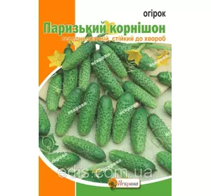 Огірок Паризький корнішон 5 г, насіння Яскрава Огірок Паризький корнішон 5 г, насіння Яскрава