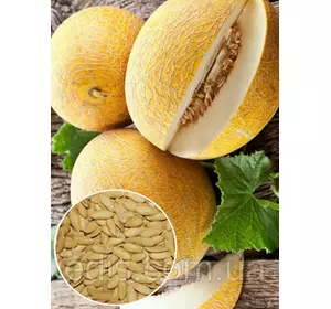 Диня Колгоспниця 100 г, вагове насіння Яскрава Диня Колгоспниця 100 г, вагове насіння Яскрава