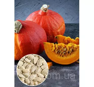 Гарбуз Хоккайдо 100 г, вагове насіння, Яскрава Гарбуз Хоккайдо 100 г, вагове насіння, Яскрава
