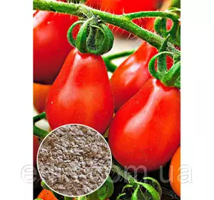 Томат Груша червона, 10 г, насіння Яскрава Томат Груша червона, 10 г, насіння Яскрава