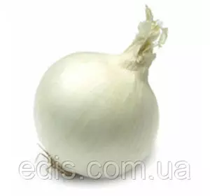 Цибуля севок (саженка) Snowball (Сноубол) 0,5 кг Цибуля севок (саженка) Snowball (Сноубол) 0,5 кг