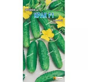 Огірок Крак F1 0,5 г, насіння Яскрава Огірок Крак F1 0,5 г, насіння Яскрава