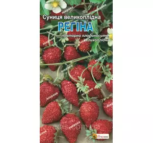 Суниця Регіна (гігантська) 0,1 г, насіння Яскрава Суниця Регіна (гігантська) 0,1 г, насіння Яскрава