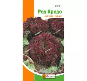 Салат Ред Кредо 1 г, насіння Яскрава Салат Ред Кредо 1 г, насіння Яскрава