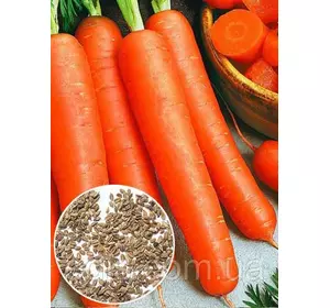 Морква Перфекція 100 г, вагове насіння Яскрава Морква Перфекція 100 г, вагове насіння Яскрава