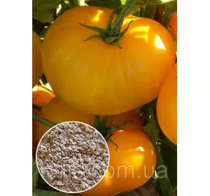 Томат Перцевидний 20 г, вагове насіння Яскрава Томат Перцевидний 20 г, вагове насіння Яскрава