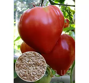 Томат Волове серце червоне 20 г, насіння Яскрава Томат Волове серце червоне 20 г, насіння Яскрава