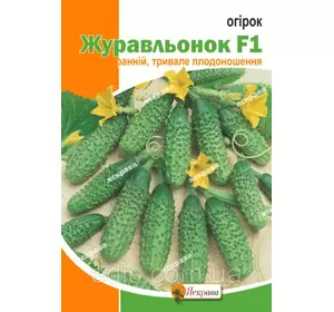 Огірок Журавльонок F1 5 г, насіння Яскрава Огірок Журавльонок F1 5 г, насіння Яскрава