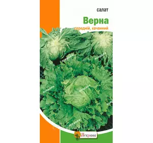 Салат голівчатий Вірна 2 г, насіння Яскрава Салат голівчатий Вірна 2 г, насіння Яскрава