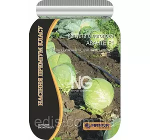 Капуста білоголова Аванте F1 20 шт. інкрустоване насіння PREMIUM Капуста білоголова Аванте F1 20 шт. інкрустоване насіння PREMIUM