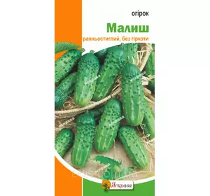 Огірок Малиш 1 г, насіння Яскрава Огірок Малиш 1 г, насіння Яскрава