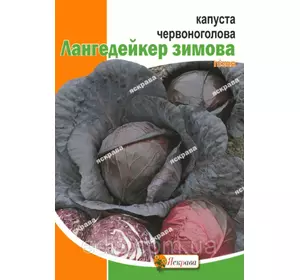 Капуста червоноголова Лангедейкер 5 г, насіння Яскрава Капуста червоноголова Лангедейкер 5 г, насіння Яскрава