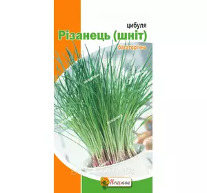 Цибуля Різанець (шнітт) 1г, насіння Яскрава Цибуля Різанець (шнітт) 1г, насіння Яскрава