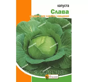 Капуста білоголова Слава 10 г, насіння Яскрава Капуста білоголова Слава 10 г, насіння Яскрава