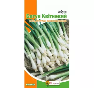 Цибуля Батун Квітневий 1 г, насіння Яскрава Цибуля Батун Квітневий 1 г, насіння Яскрава