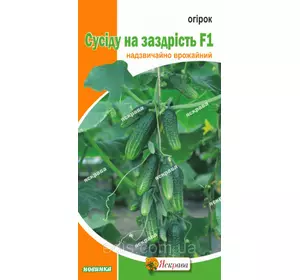 Огірок Сусіду на заздрість F1 0,5 г, насіння Яскрава Огірок Сусіду на заздрість F1 0,5 г, насіння Яскрава