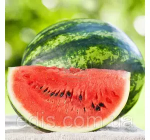 Кавун Кримсон Світ 2 г, насіння Яскрава Кавун Кримсон Світ 2 г, насіння Яскрава