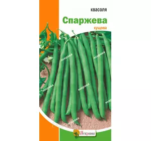 Квасоля Спаржева зелена 10 г (кущова), насіння Яскрава Квасоля Спаржева зелена 10 г (кущова), насіння Яскрава