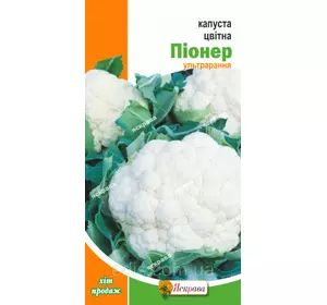 Капуста цвітна Піонер 0,3 г, насіння Яскрава Капуста цвітна Піонер 0,3 г, насіння Яскрава