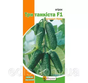 Огірок Три танкіста F1 (букетний, самозапильний) F1 0,3 г, насіння Яскрава Огірок Три танкіста F1 (букетний, самозапильний) F1 0,3 г, насіння Яскрава