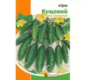 Огірок Кущовий 5 г, насіння Яскрава Огірок Кущовий 5 г, насіння Яскрава
