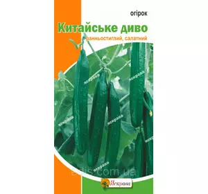 Огірок Китайське диво 10 шт., насіння Яскрава Огірок Китайське диво 10 шт., насіння Яскрава