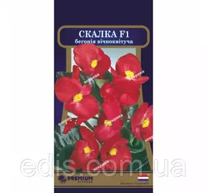 Бегонія вічноквітуча Скалка F1 10 насінин в оболонці, Яскрава PREMIUM Бегонія вічноквітуча Скалка F1 10 насінин в оболонці, Яскрава PREMIUM