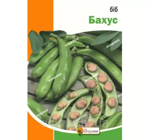 Боб великоплідний Бахус 20 г насіння Яскрава Боб великоплідний Бахус 20 г насіння Яскрава