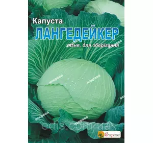 Капуста білоголова Лангедейкер 10 г, насіння Яскрава Капуста білоголова Лангедейкер 10 г, насіння Яскрава