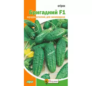 Огірок Бригадний F1 0,5 г, насіння Яскрава Огірок Бригадний F1 0,5 г, насіння Яскрава